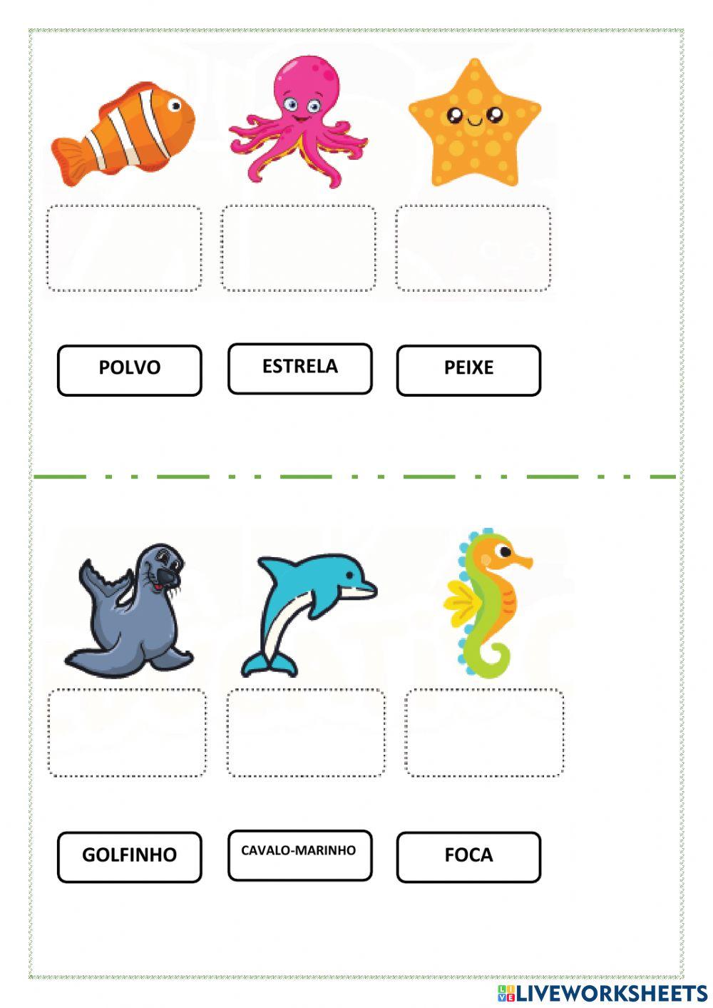 Arraste o nome das figuras.