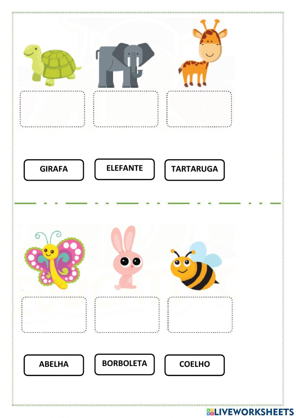 Arraste o nome das figuras.