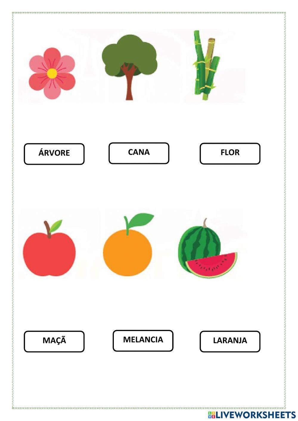 Arraste o nome das figuras.