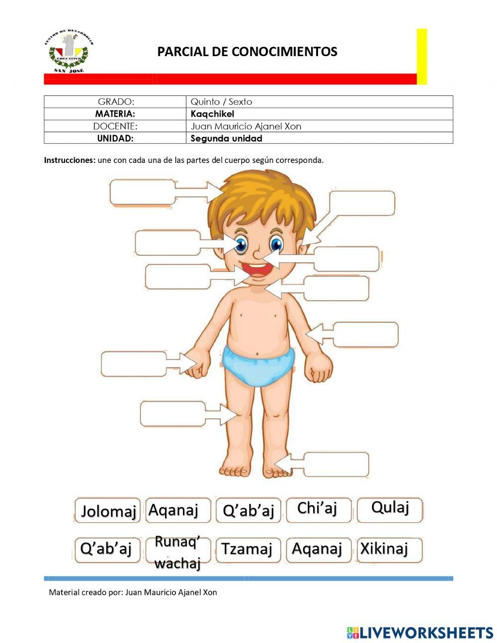 Partes del cuerpo en Kaqchikel