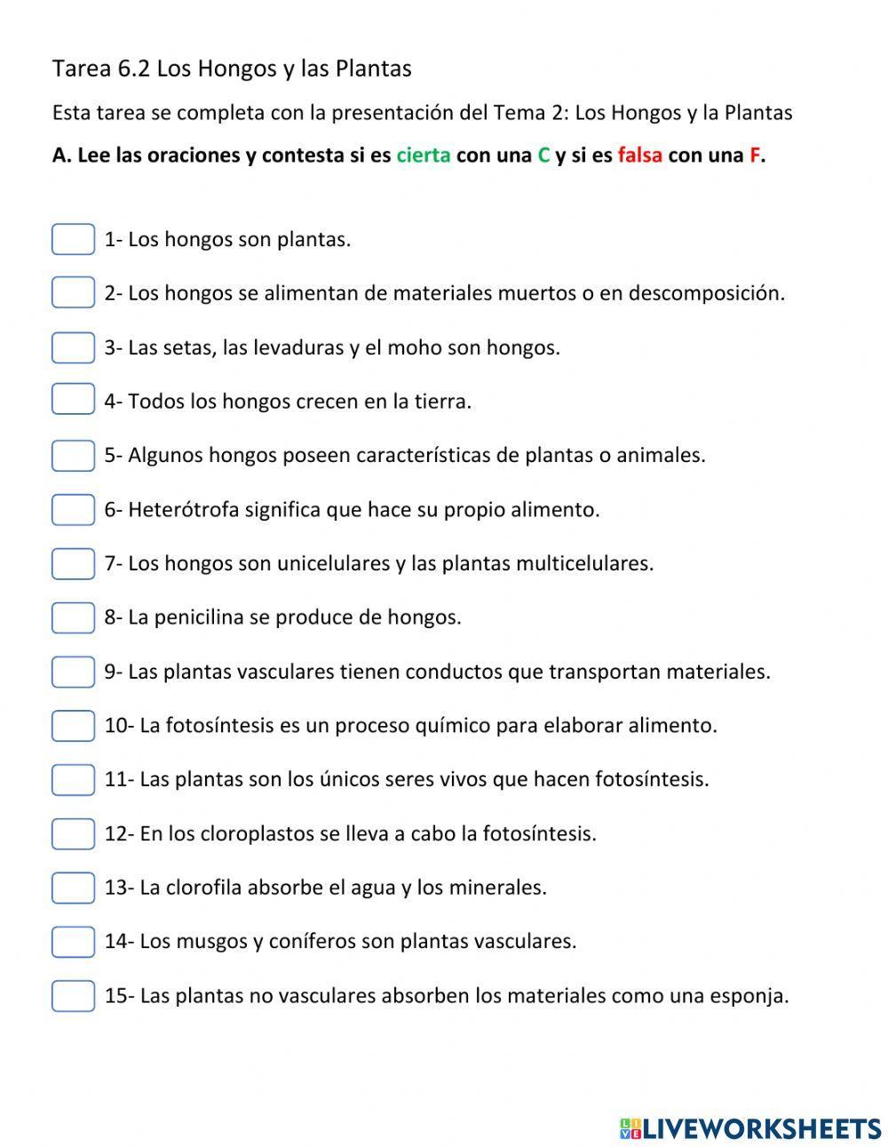 Los hongos y las plantas Los hongos y las plantas