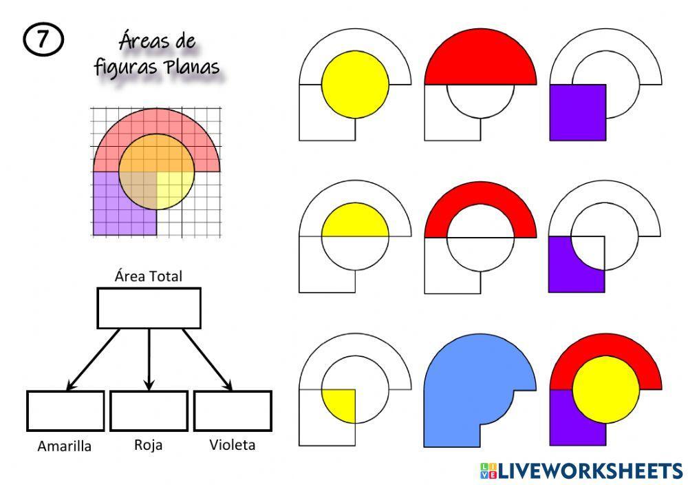 Cálculo de áreas (7) sin guion