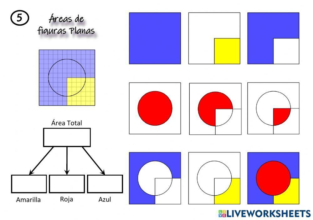 Cálculo de áreas (5) sin guion