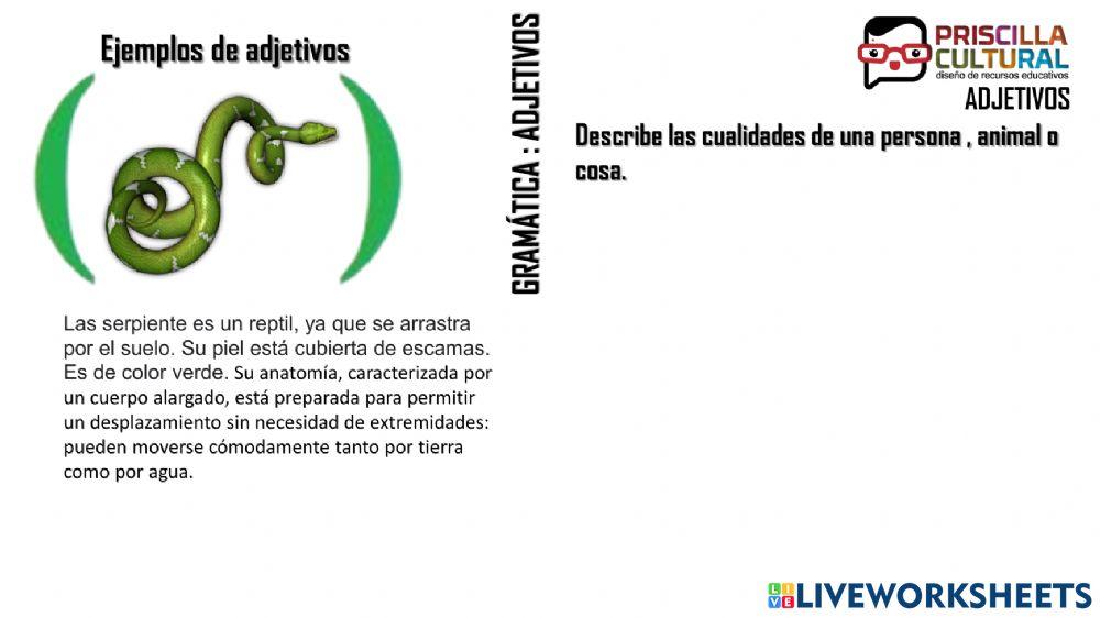 Gramática adjetivos