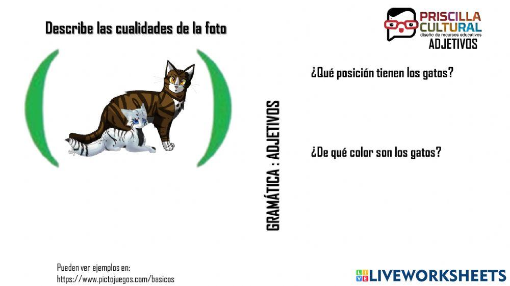 Lenguaje: gramática