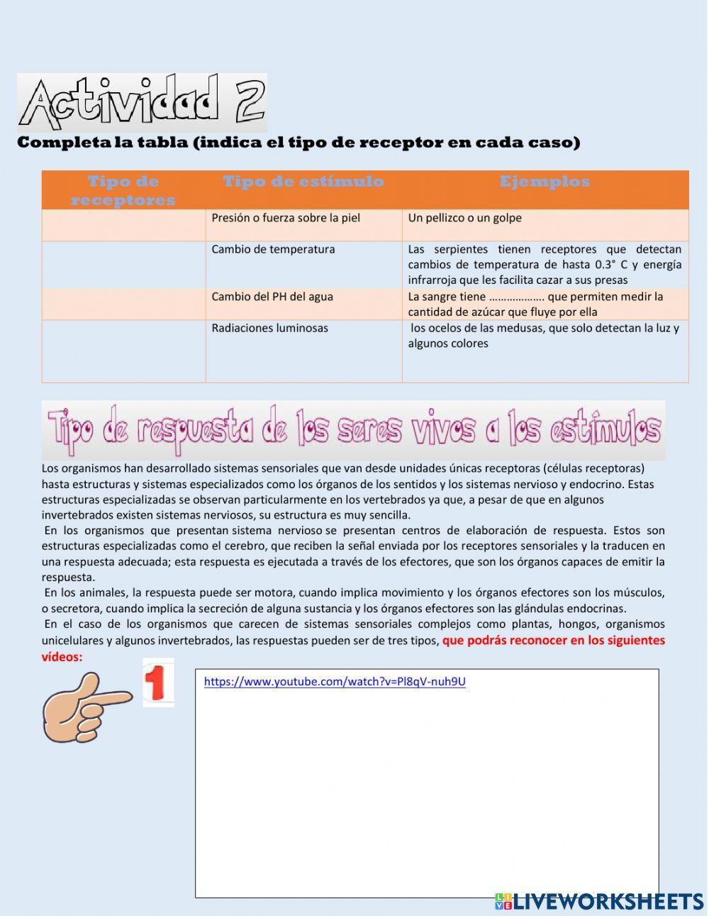 Los seres vivos responden a estímulos