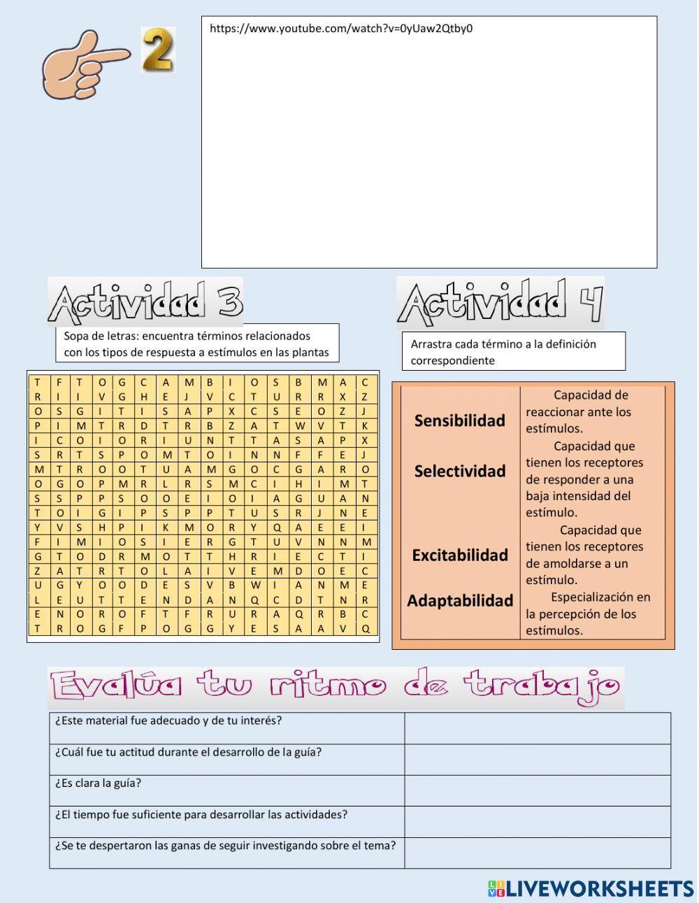 Los seres vivos responden a estímulos