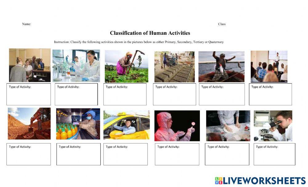 Classification of Human Activities