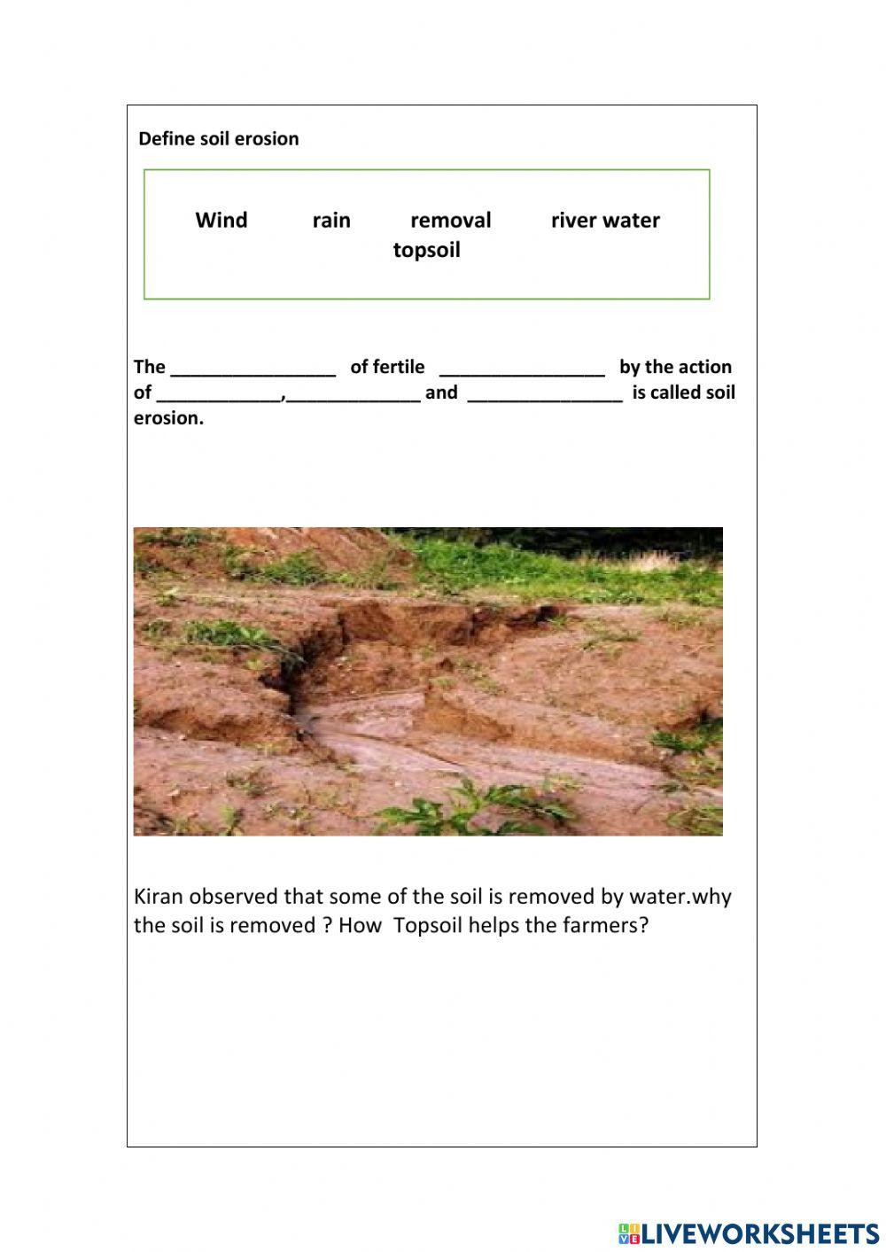 Soil erosion activity Live Worksheets