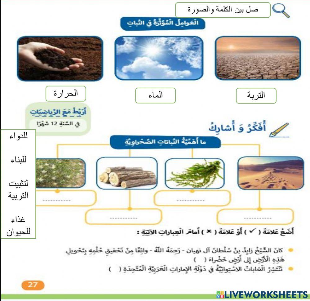 النبات الطبيعي