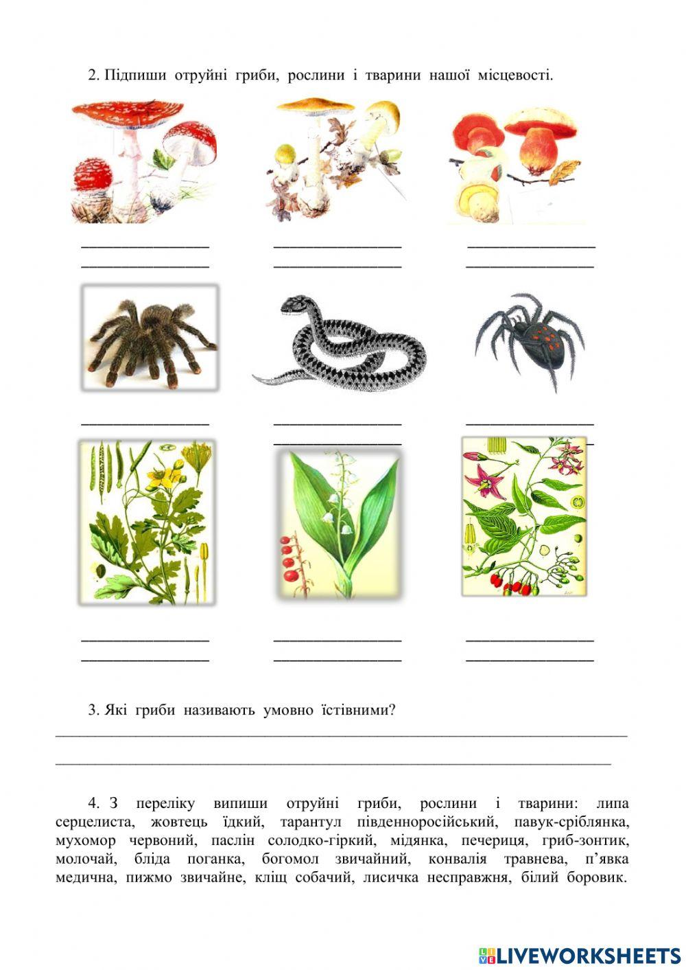 Ознайомлення з найпоширенішими й отруйнимирослинами,грибами і тваринами своєї місцевості