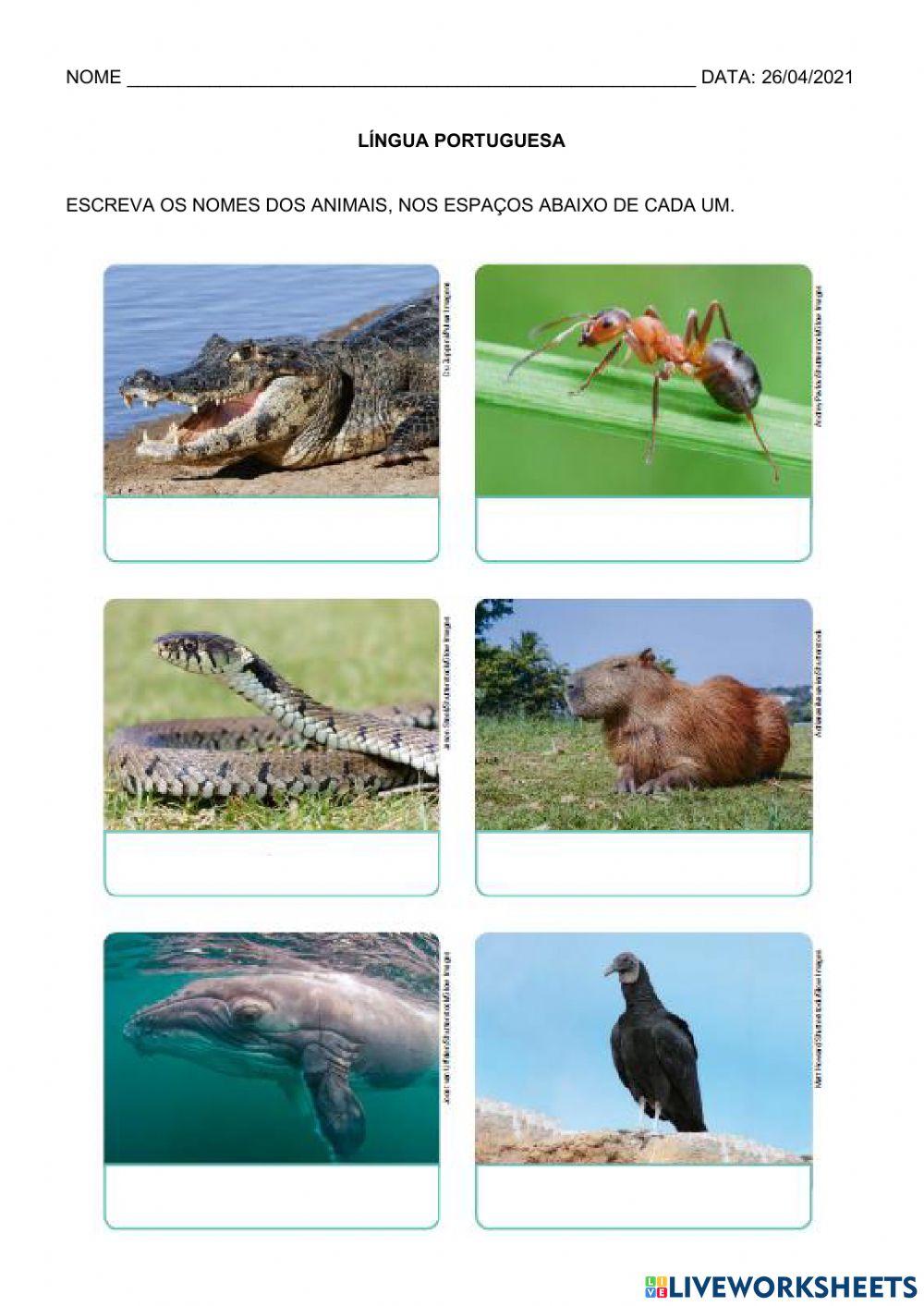 Lingua portuguesa e matemática