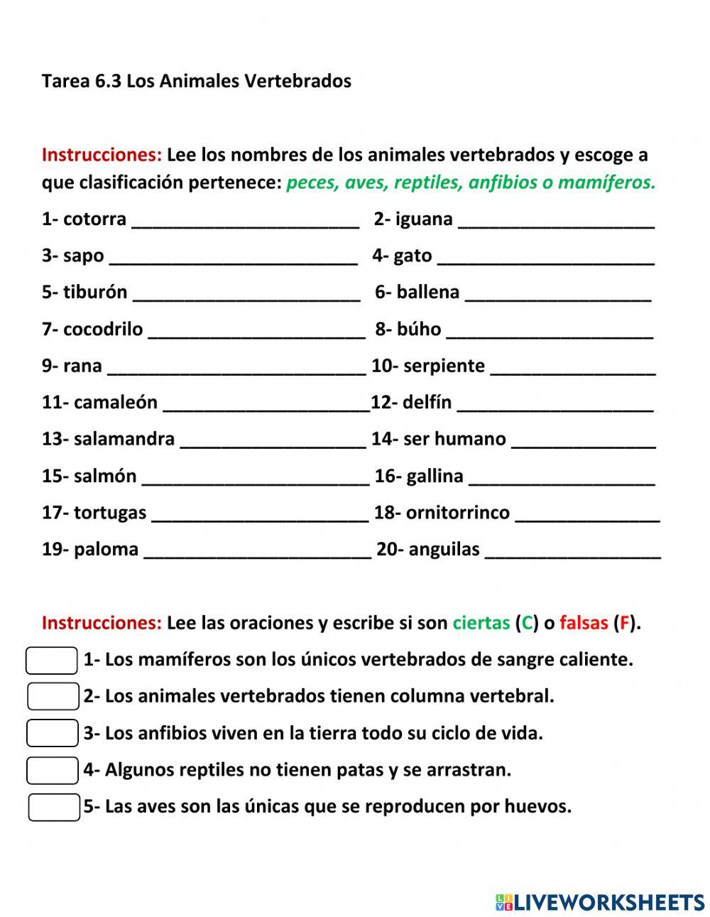 Animales Vertebrados Animales Vertebrados