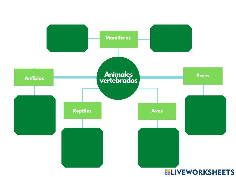 Animales vertebrados