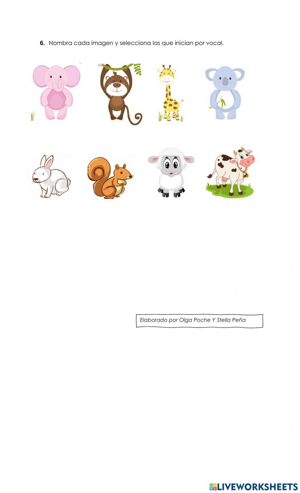 evaluacion dimension comunicativa