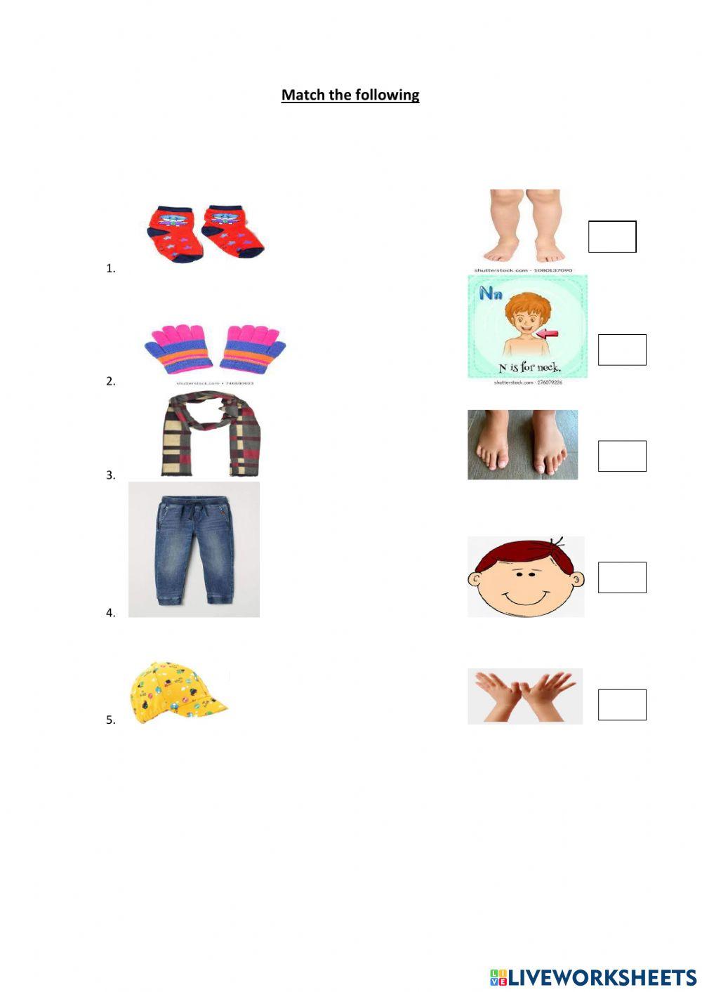 Evs -clothes and body part-kg1