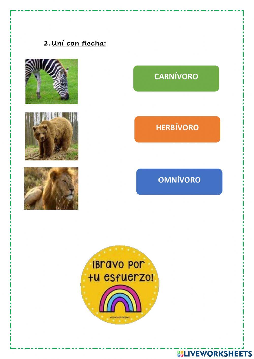 Clasificación según su alimento