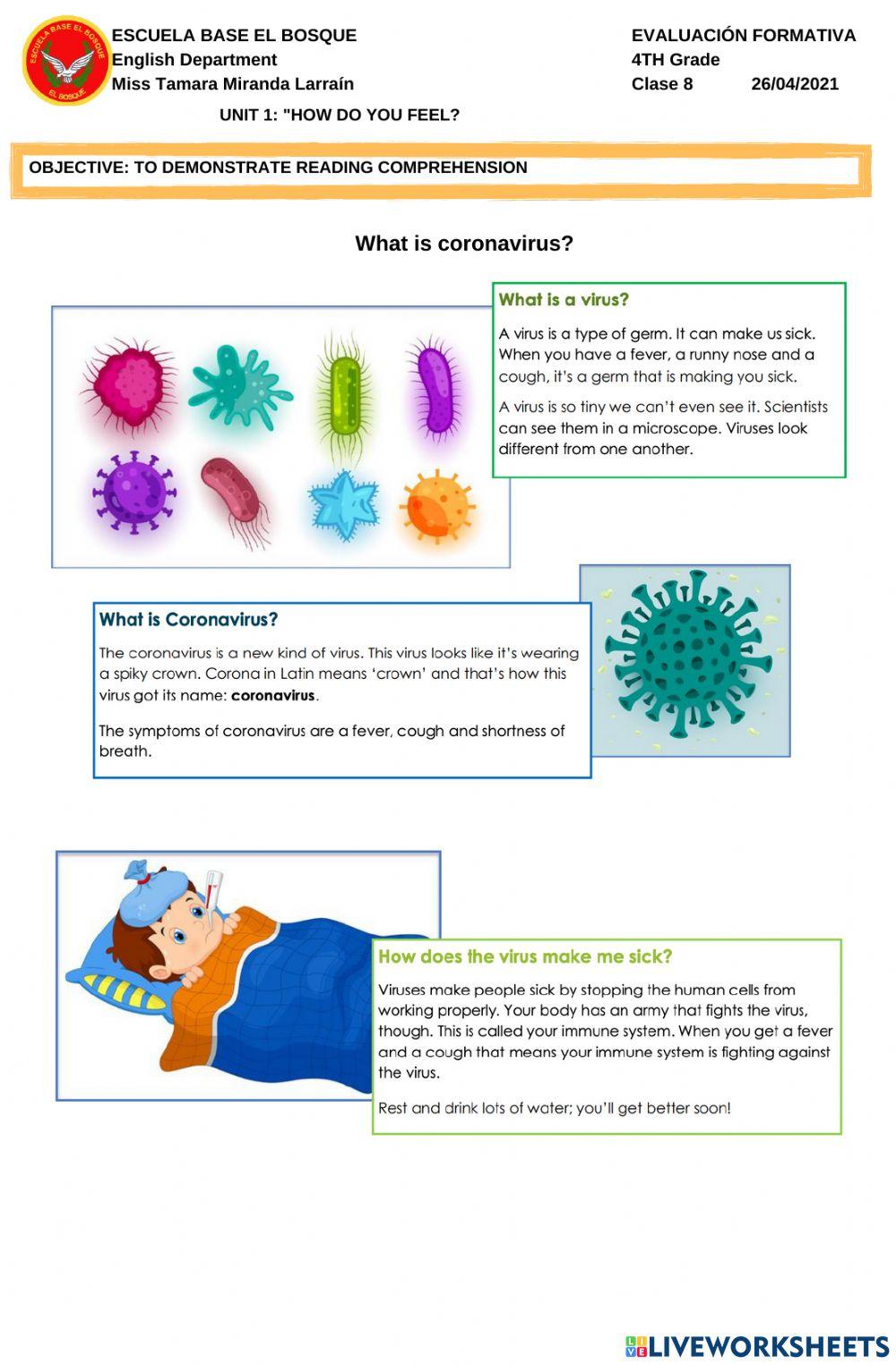 What is coronavirus