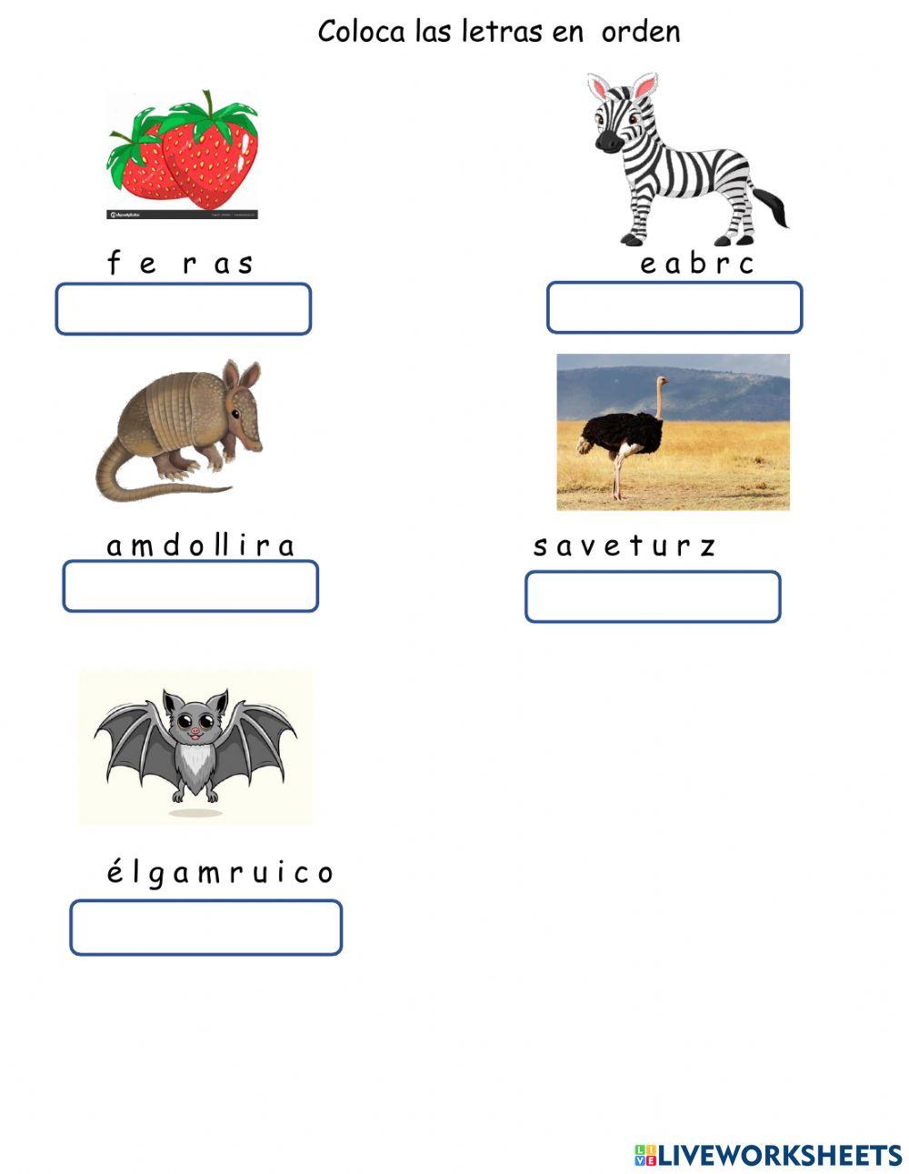 Conciencia fonologica