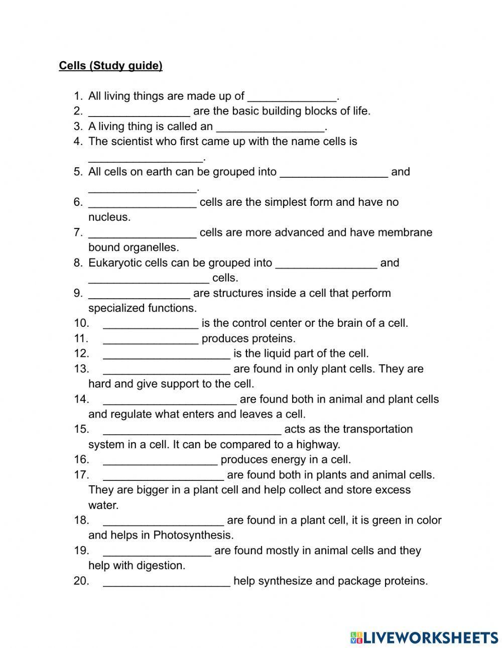 Cells Study guide worksheet Live Worksheets