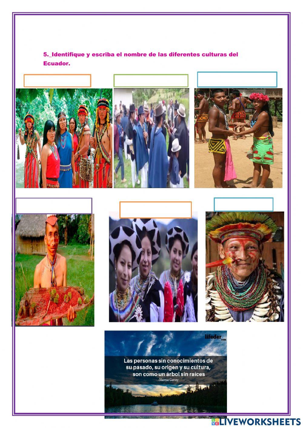 Ser incluyentes y equitativos son experiencias de paz