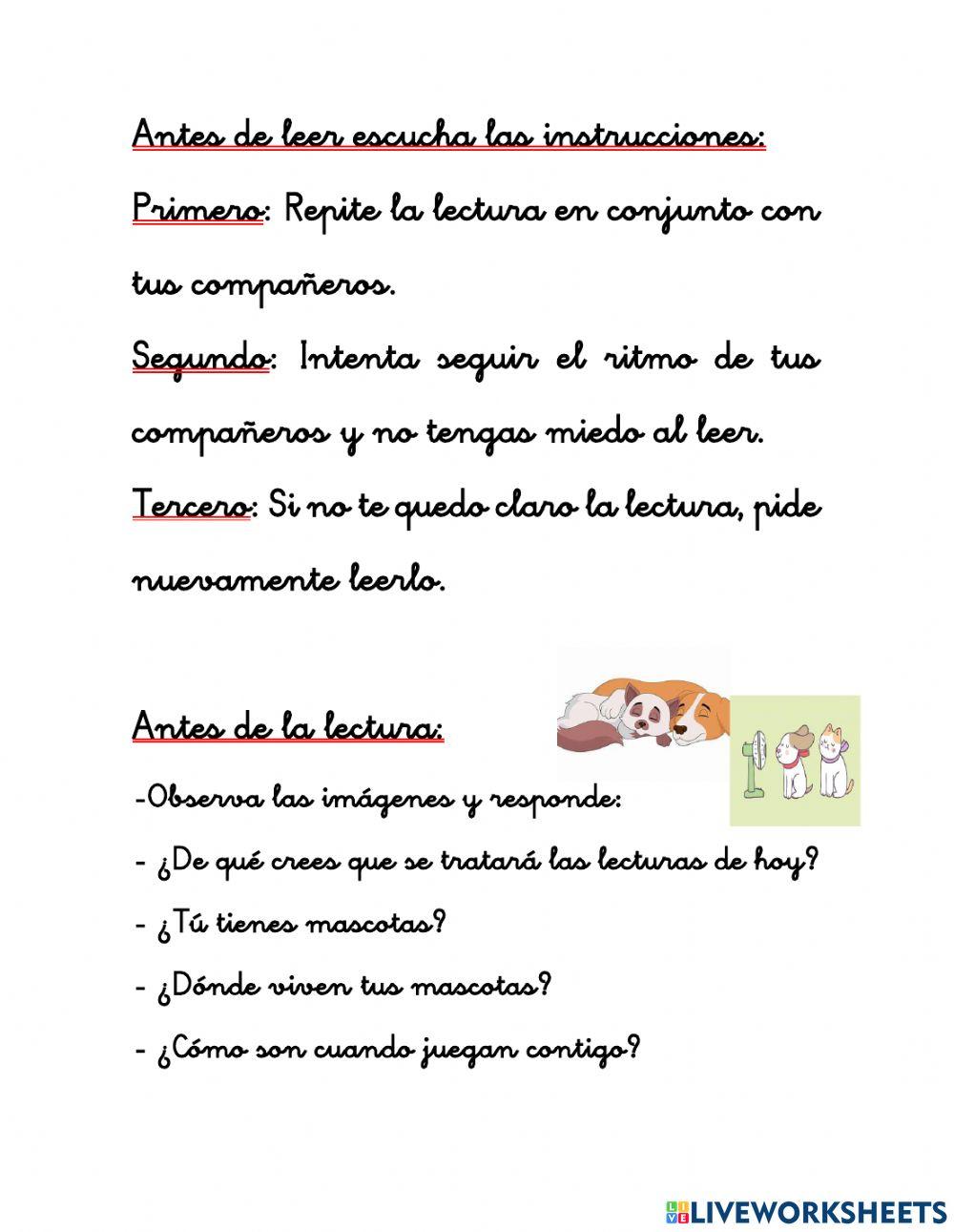 Actividad 1 Comprensión Lectora