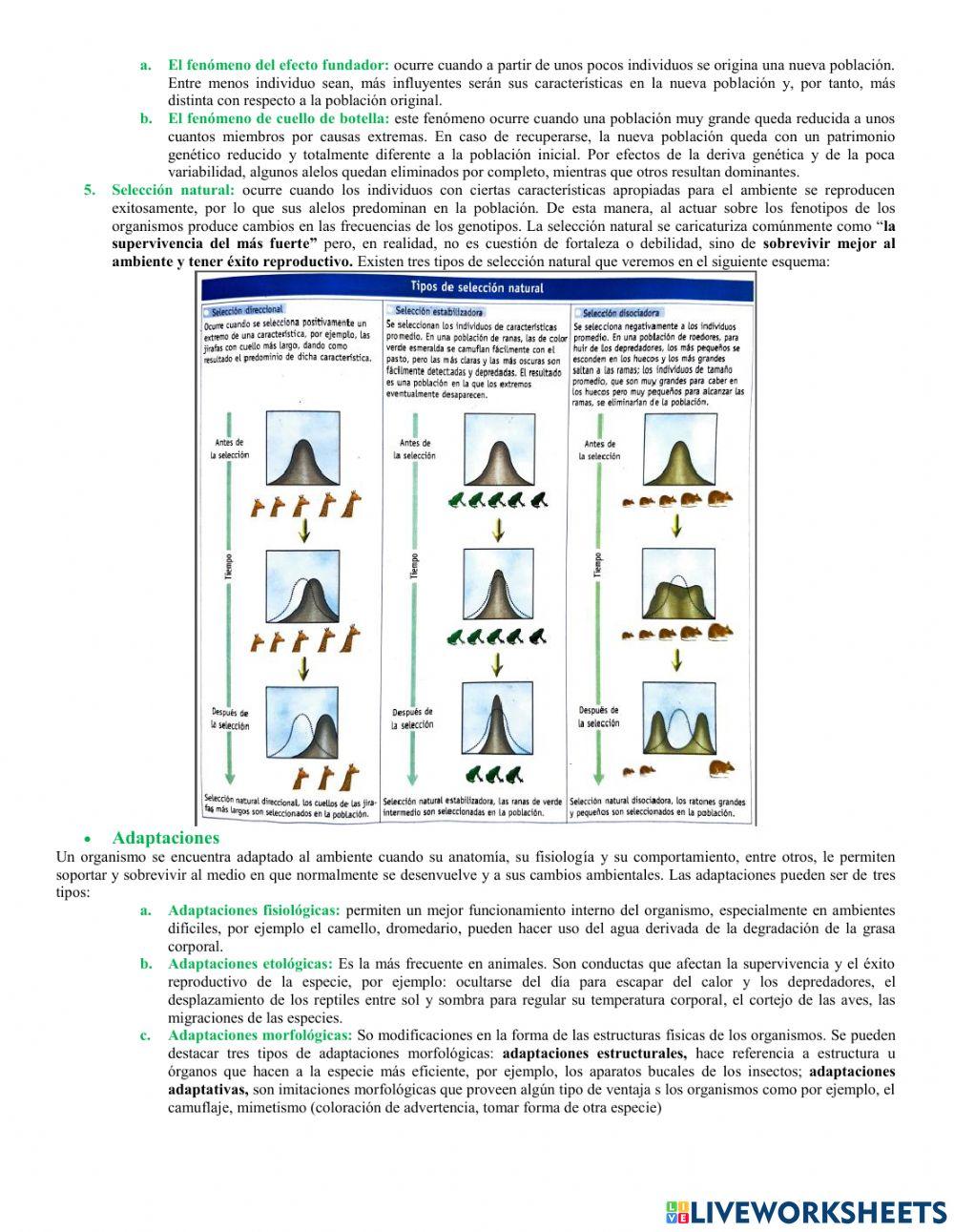 Evolución de las poblaciones