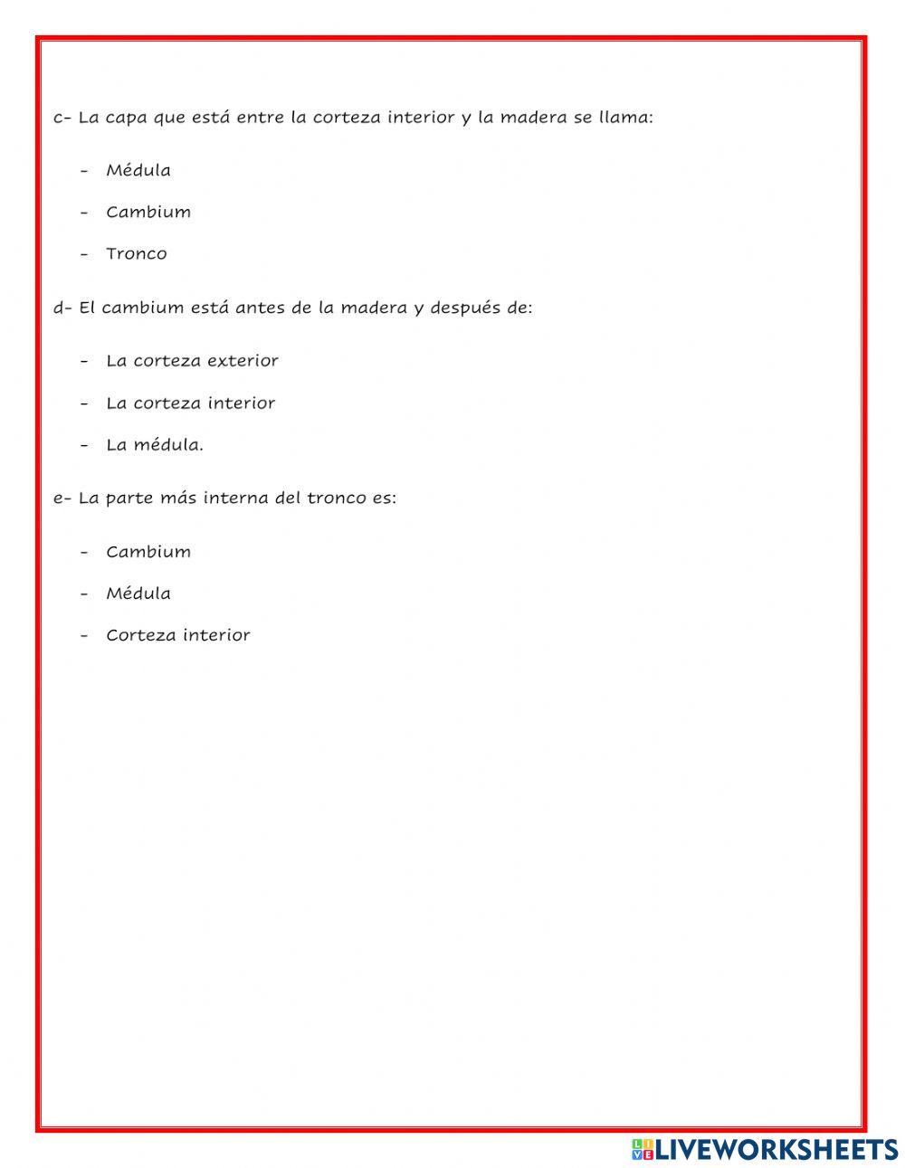 Comprensión lectora