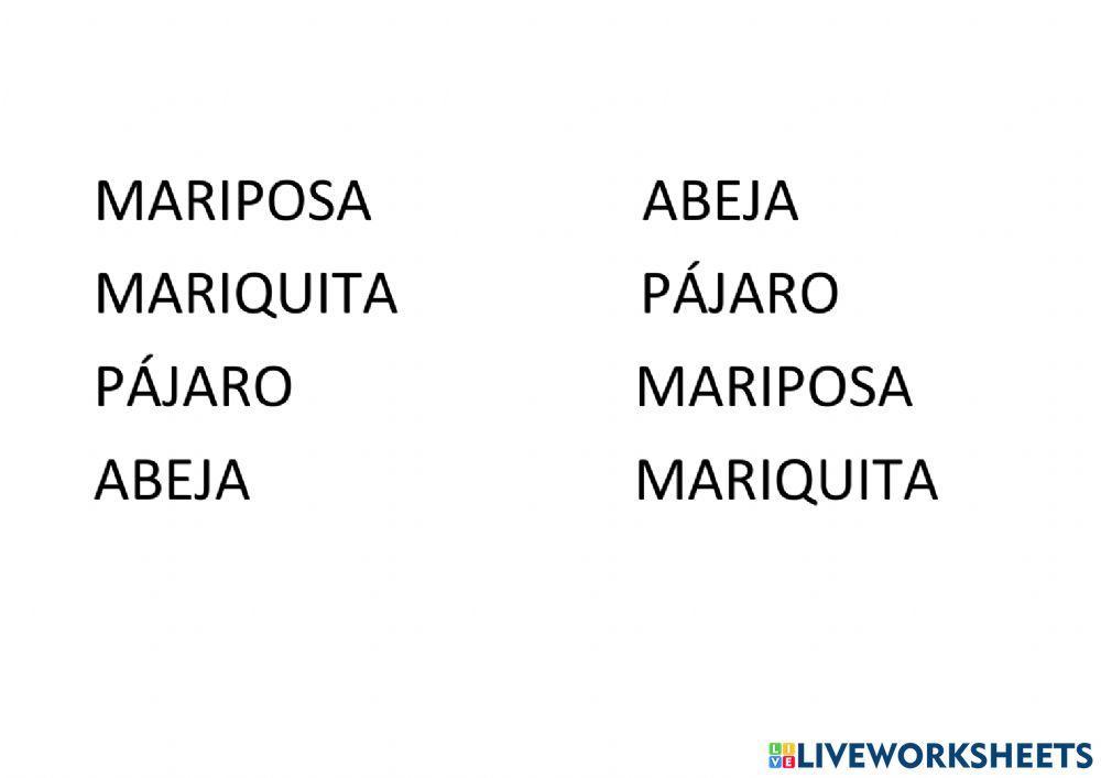 Animales de primavera