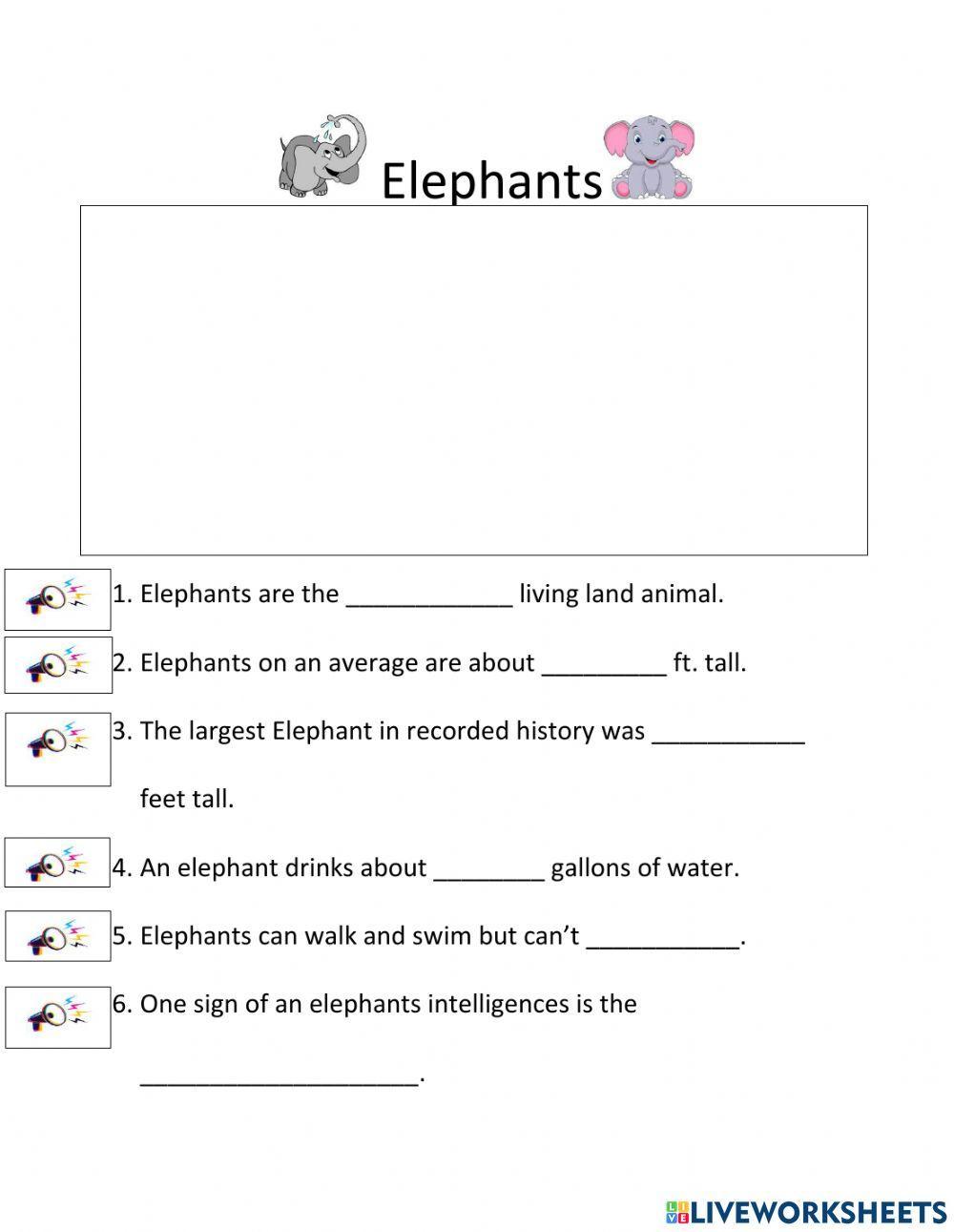 Elephants Elephants
