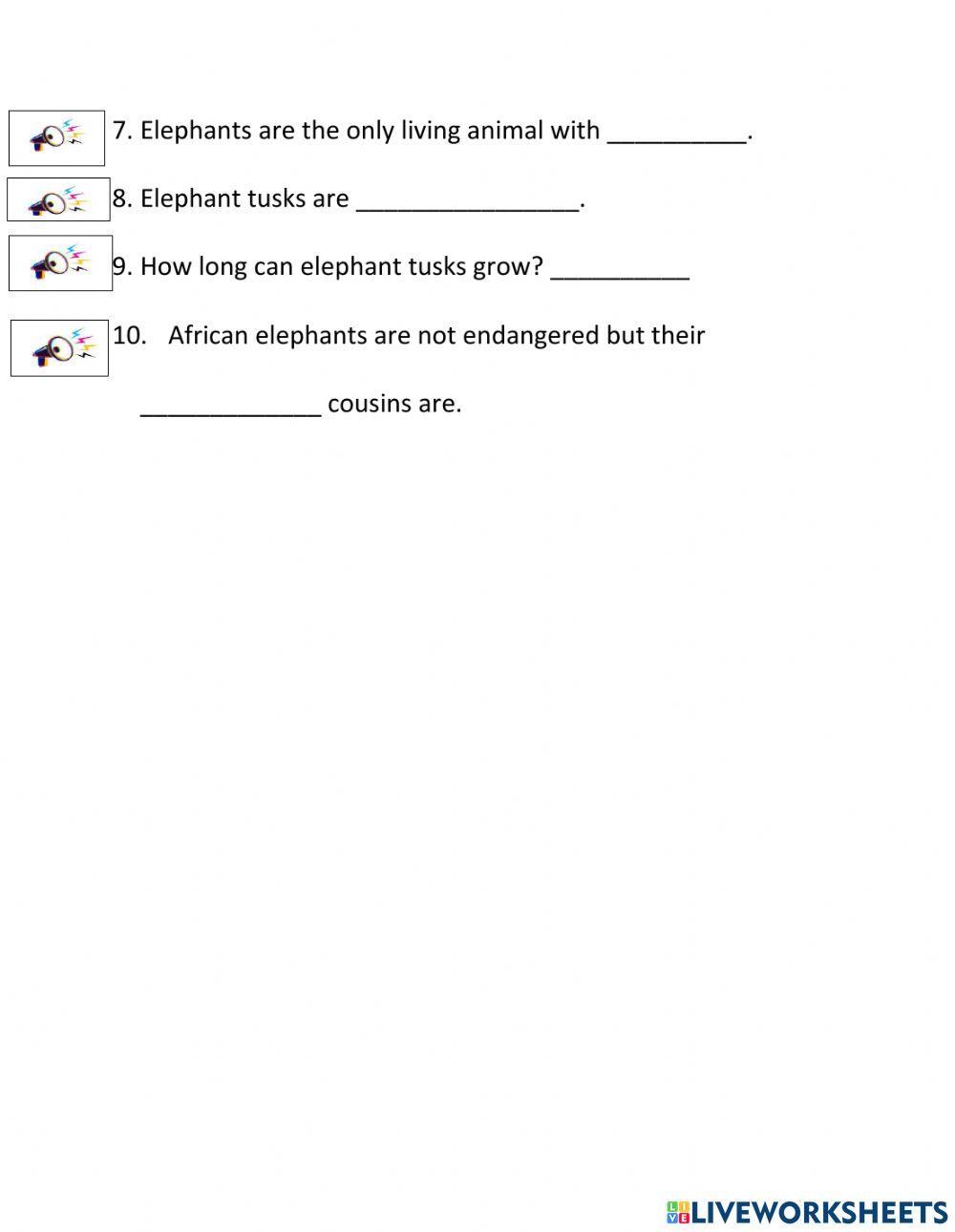Elephants Elephants