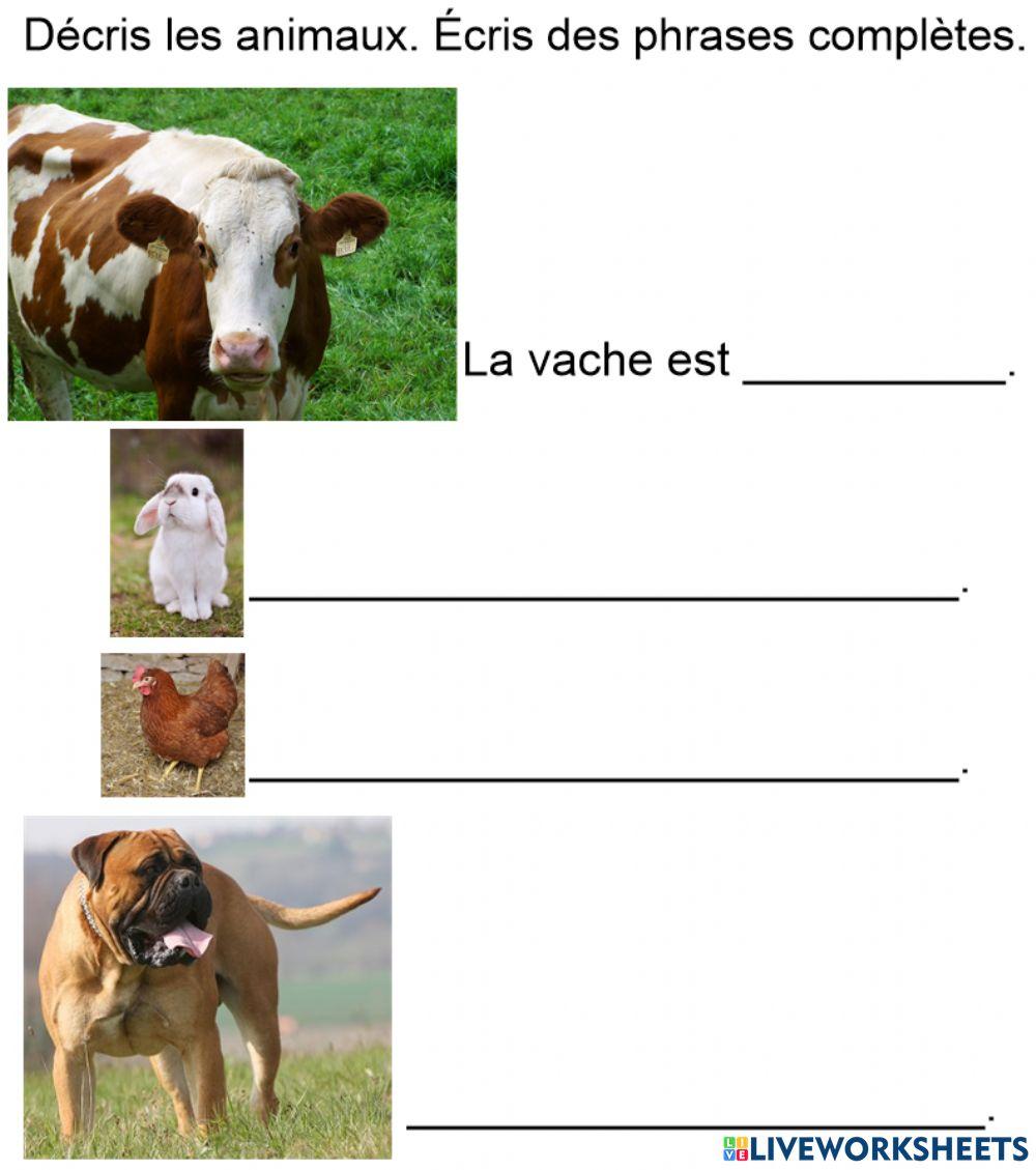 Rév. unité 5 EE décrire les animaux. online exercise for