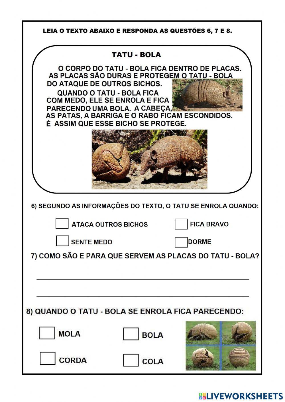 Avaliação bimestral de português