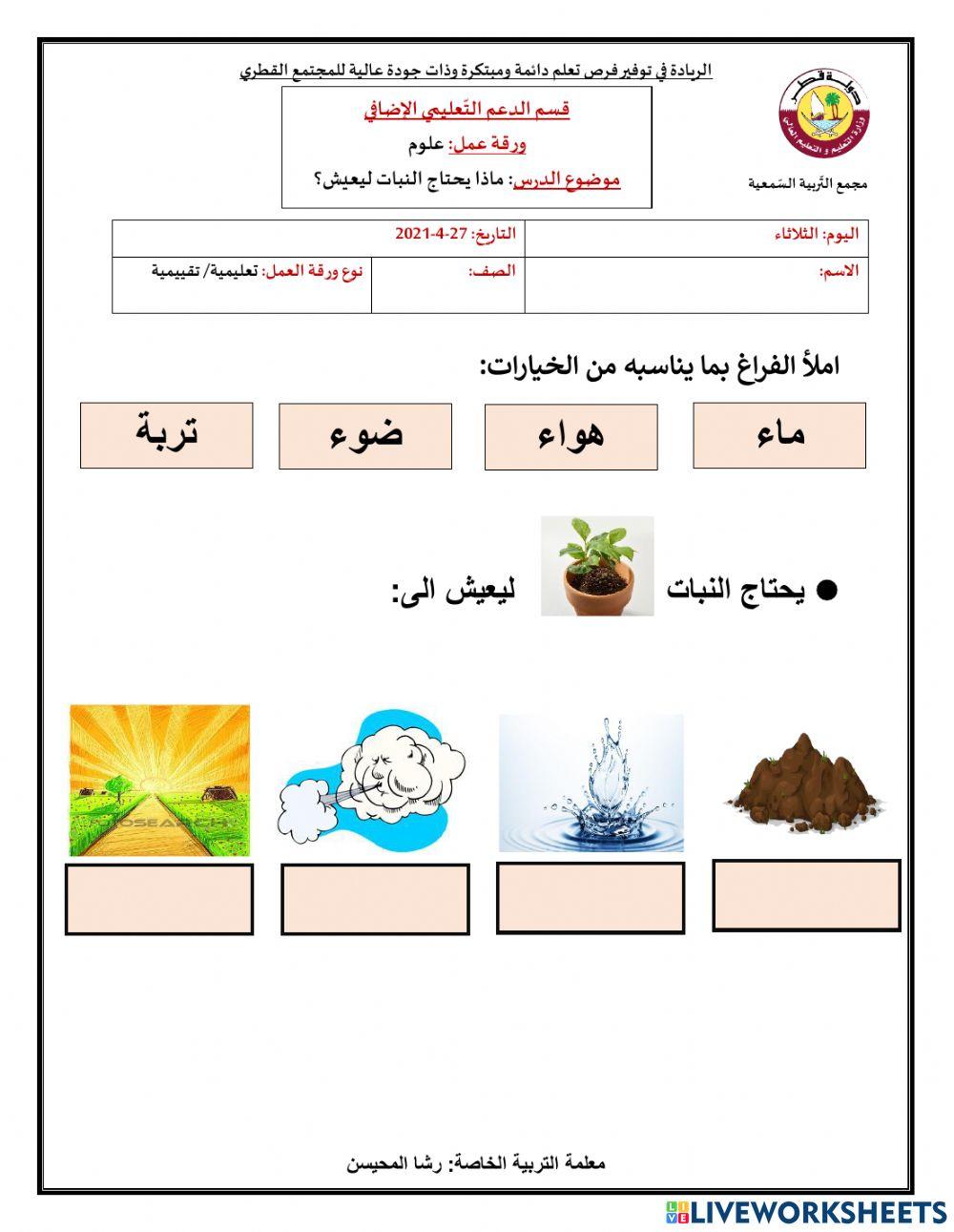 ماذا يحتاج النبات ليعيش؟