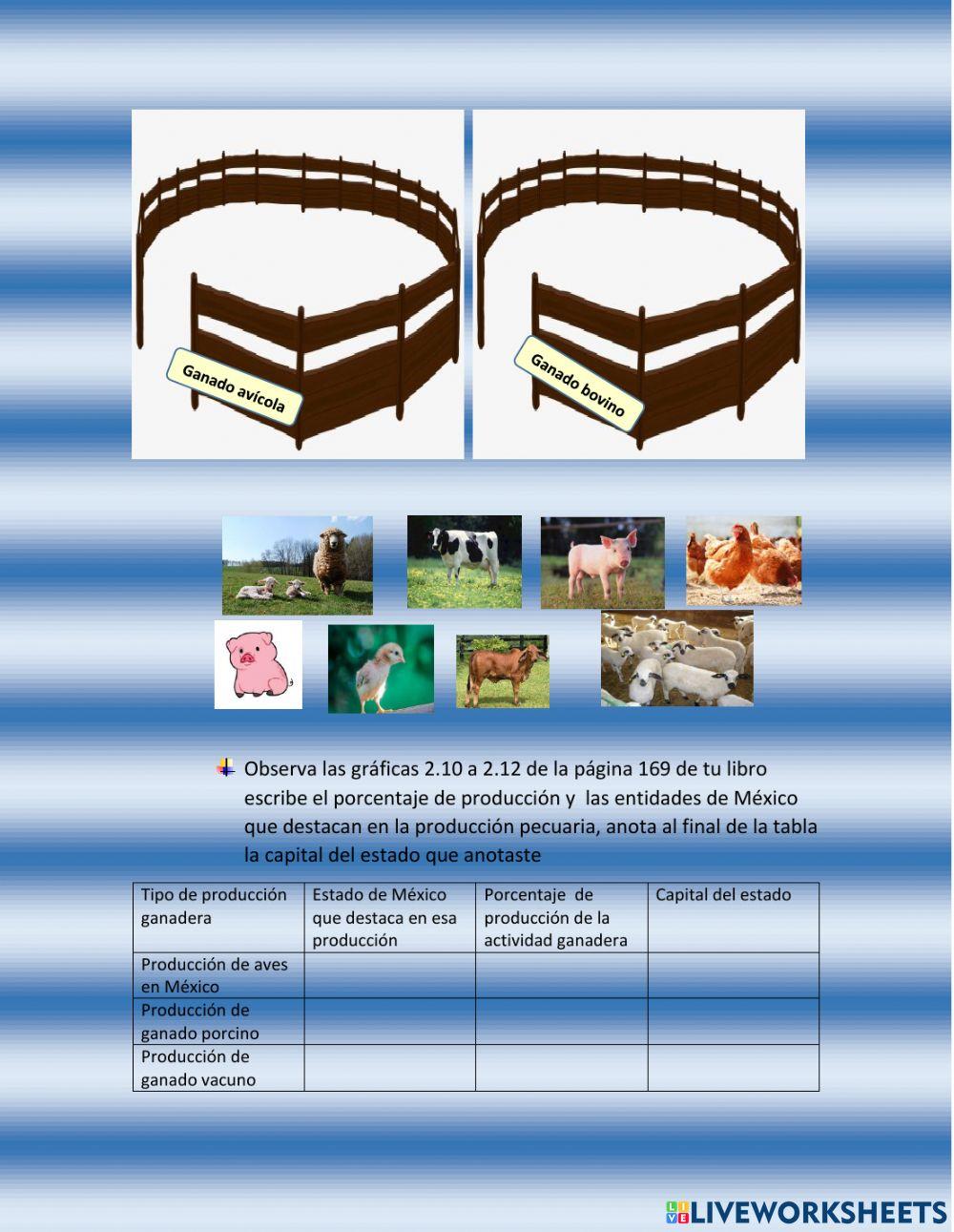 Actividades económicas