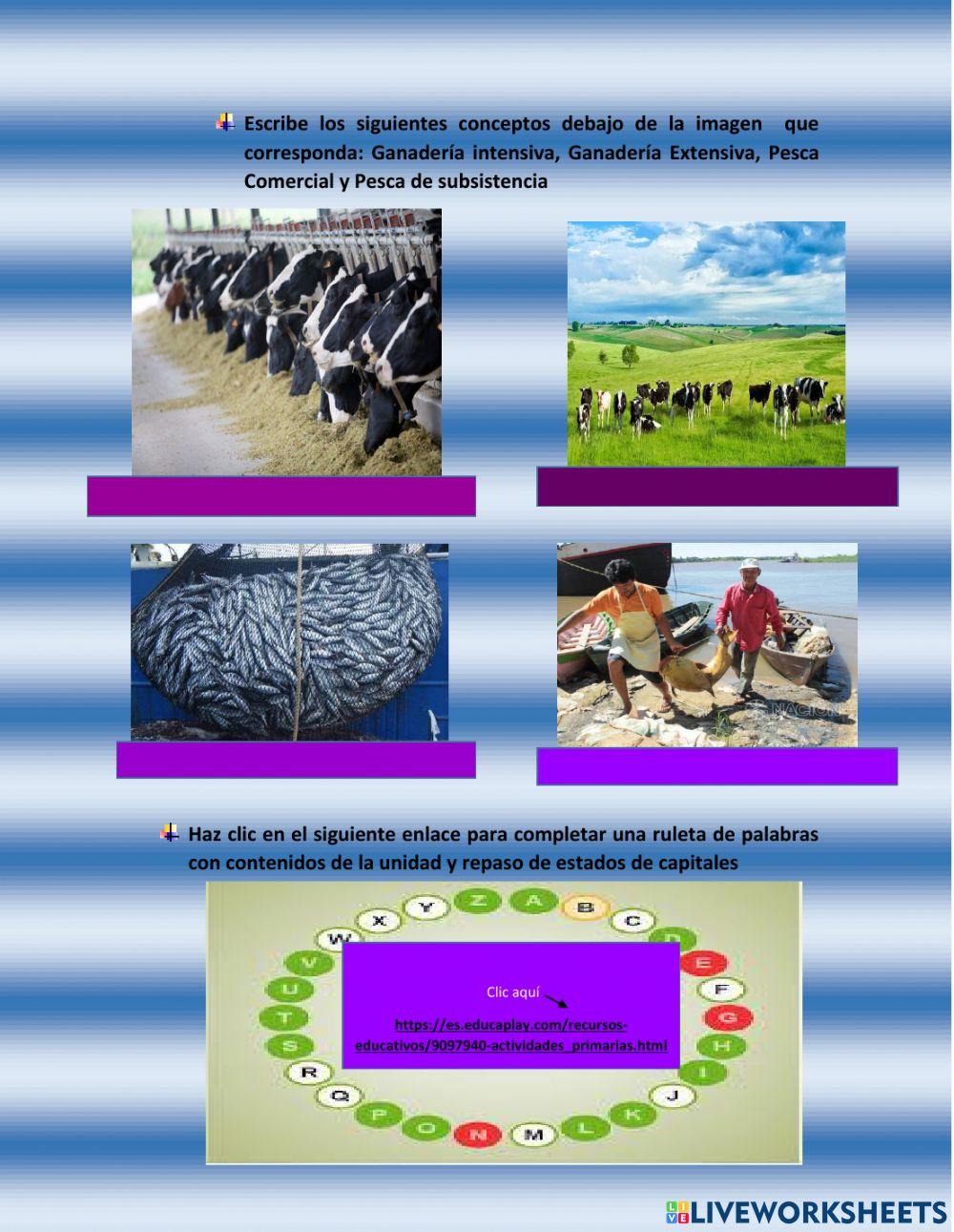 Actividades económicas