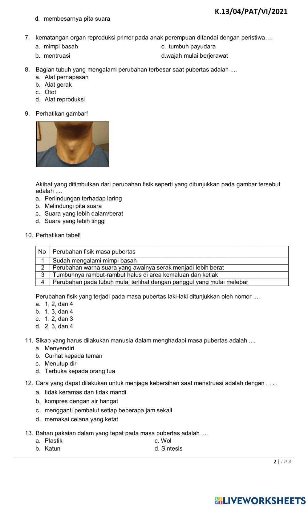 Penilaian Akhir Tahun (PAT) IPA SDN Cibuluh 4