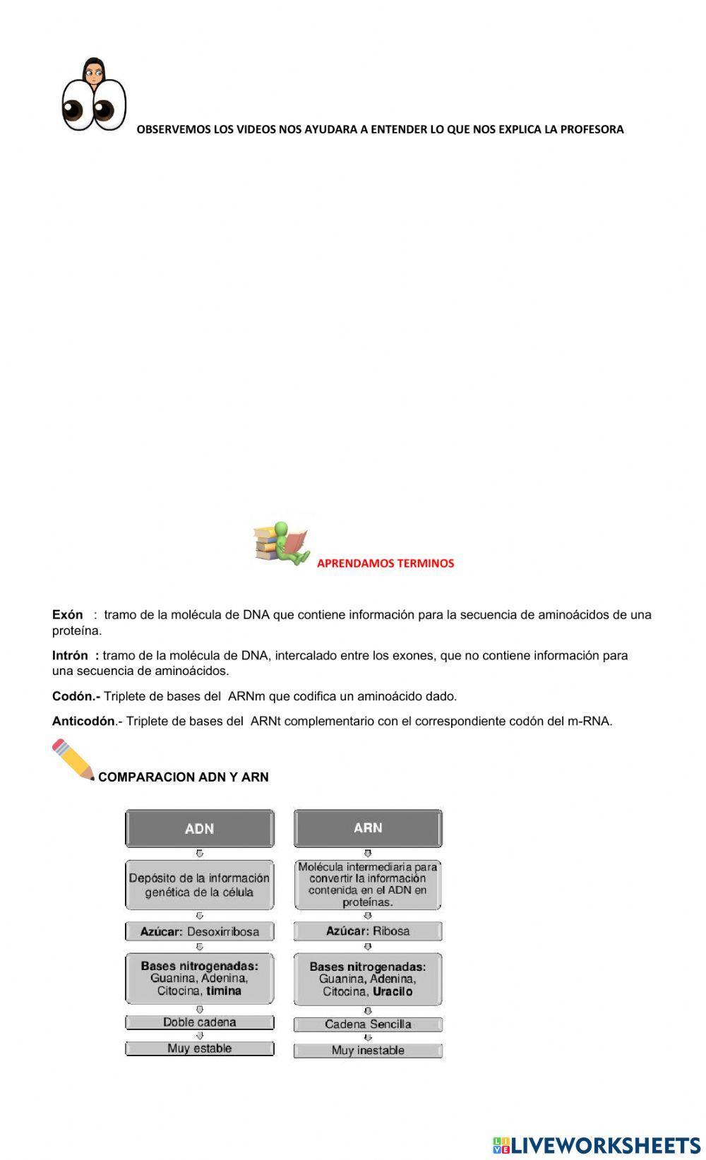 GUIA TRANSCRIPCION- TRADUCCION