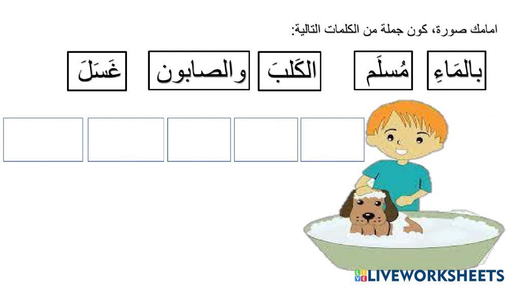 كون جمل في رمضان