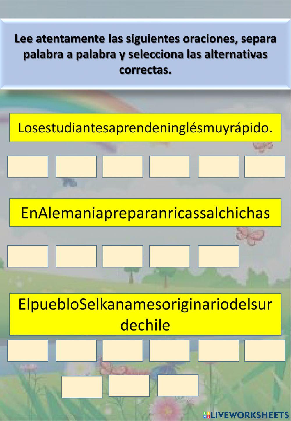 Concordancia de género-número, comprensión lectora simple y conciencia de palabra.