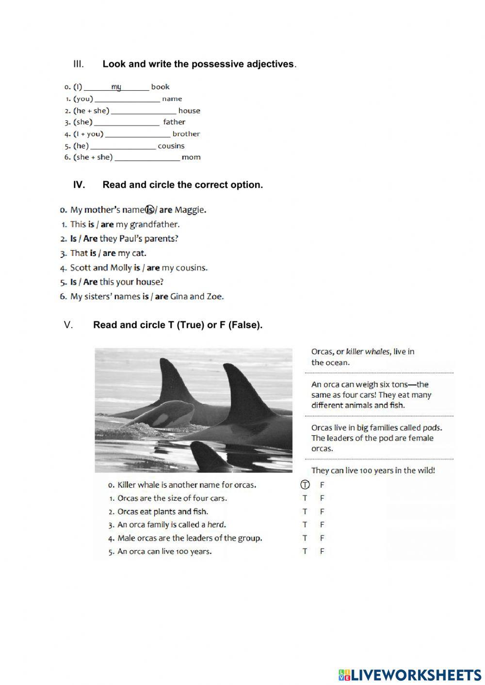 Reading comprehension