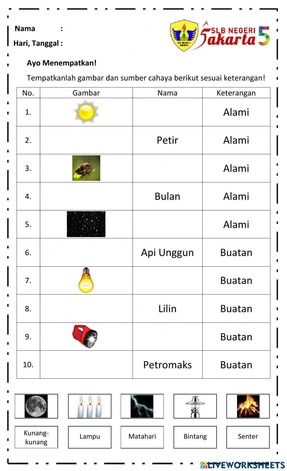 Sumber Cahaya Alami dan Buatan