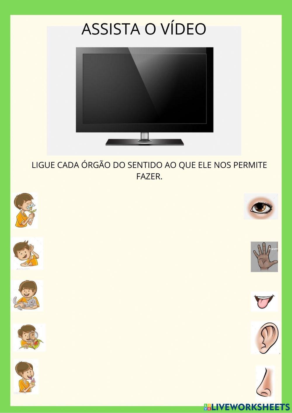 Órgãos dos sentidos