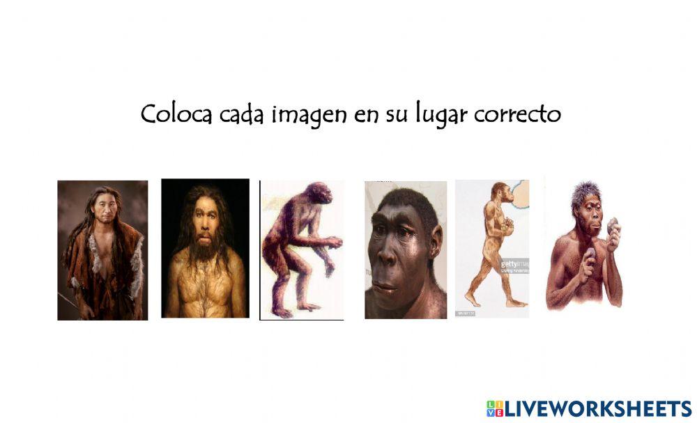 Evolucion del ser humano