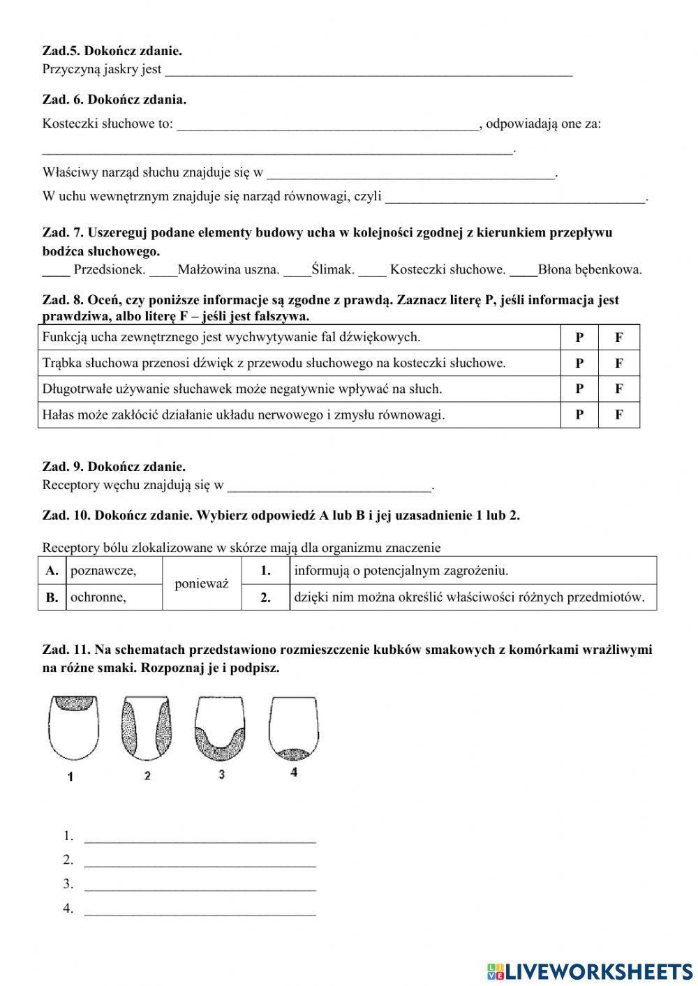 Narządy Zmysłów Sprawdzian Klasa 7 Pdf Klasa 7 - narządy zmysłów worksheet | Live Worksheets