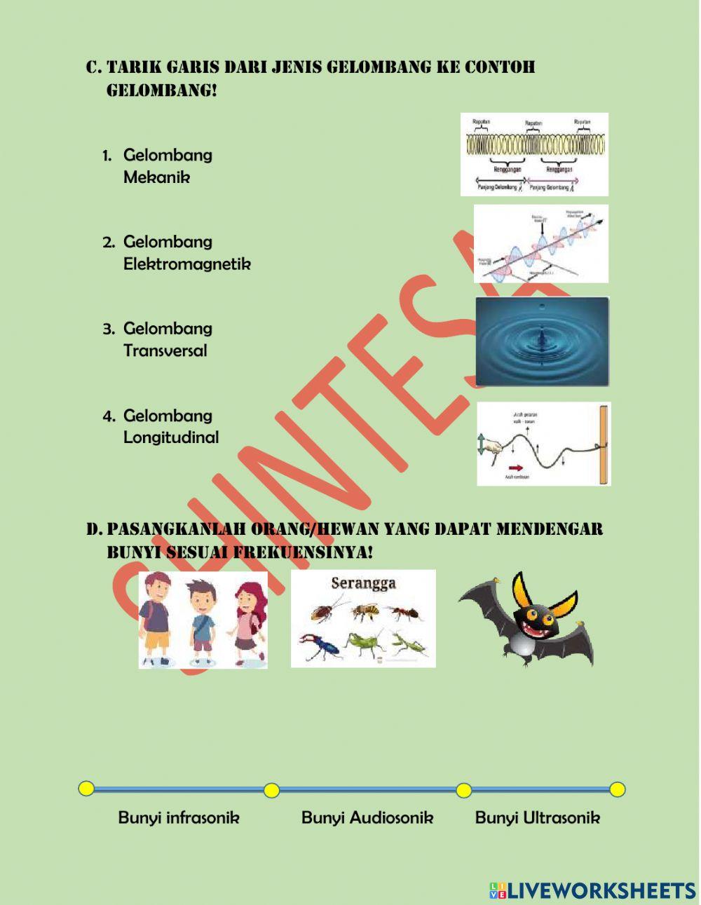 Getaran, Gelombang, dan Bunyi