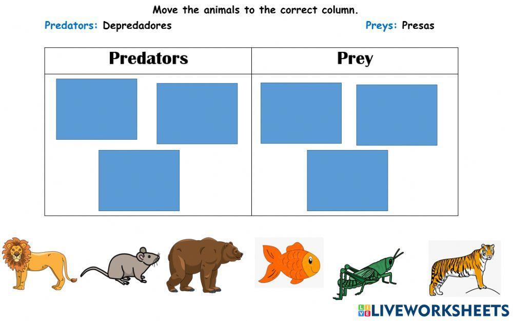 Predators and preys