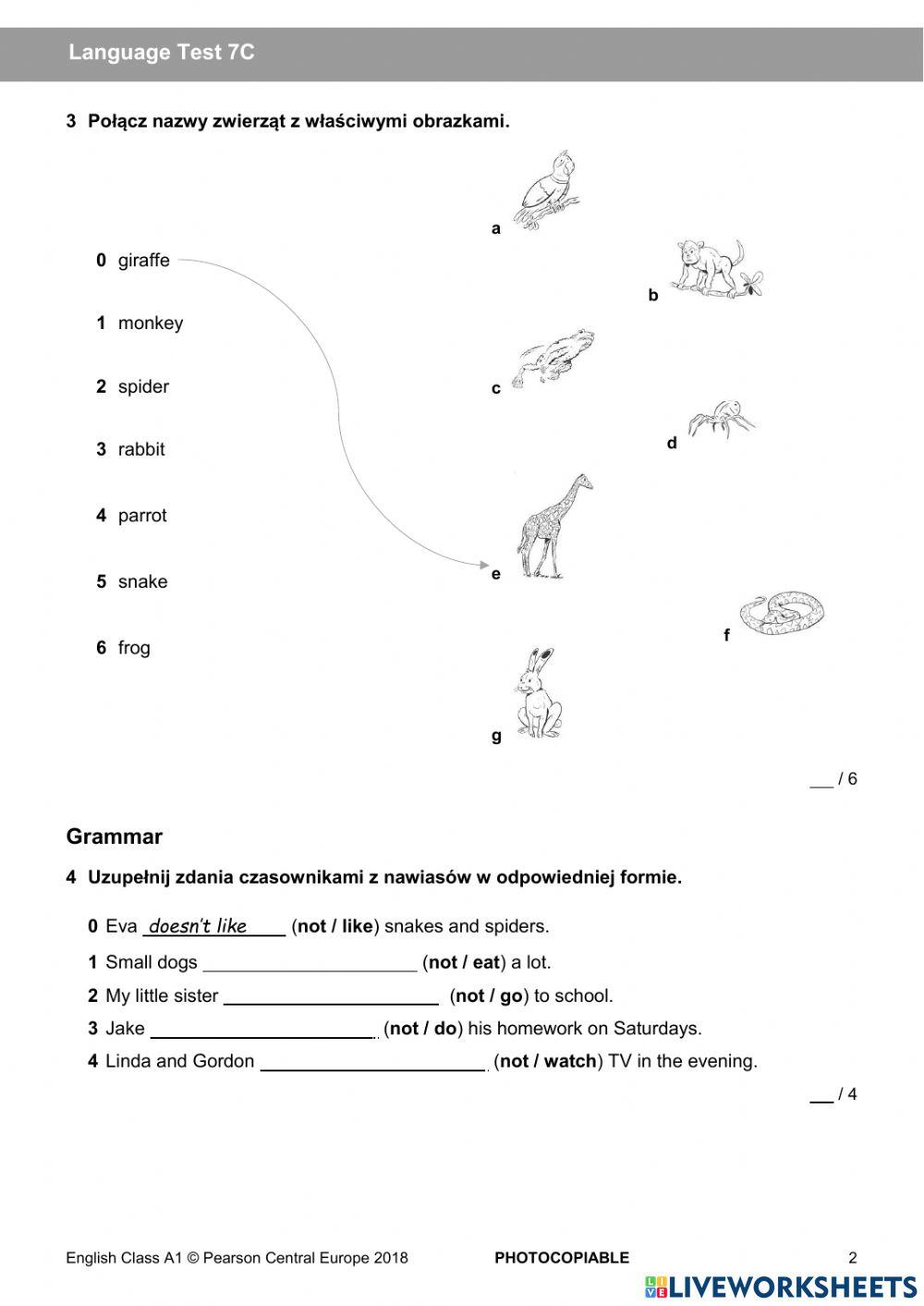 English class A1 unit 7 test