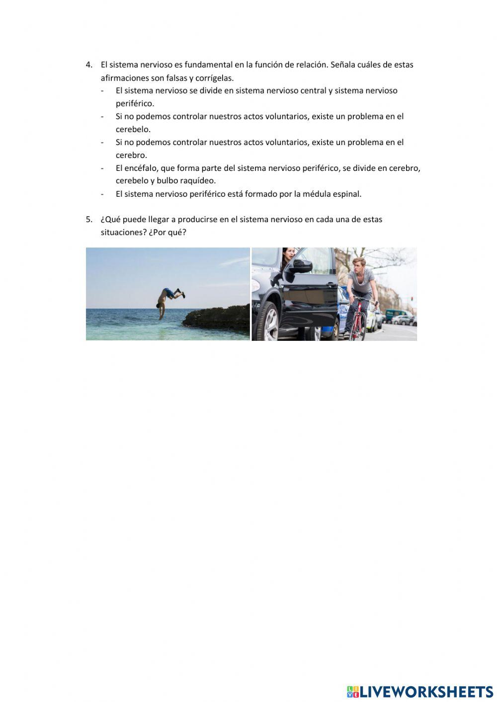 La función de relación