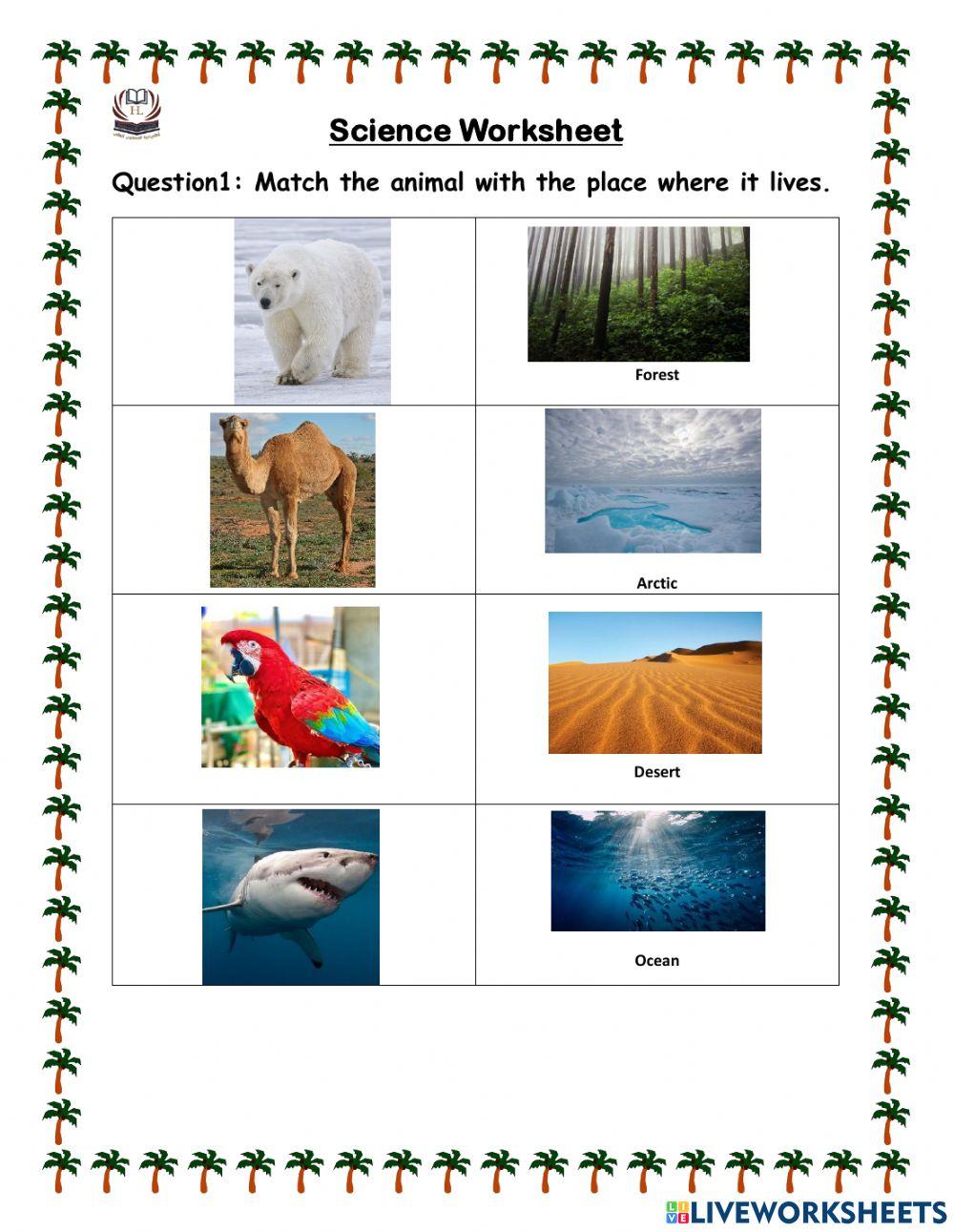 Where do animals live worksheet online exercise for live worksheets